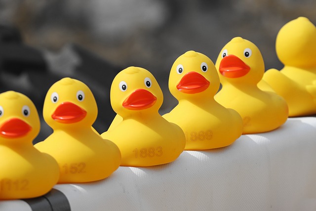 足球世界杯亚洲区赛程变化分析