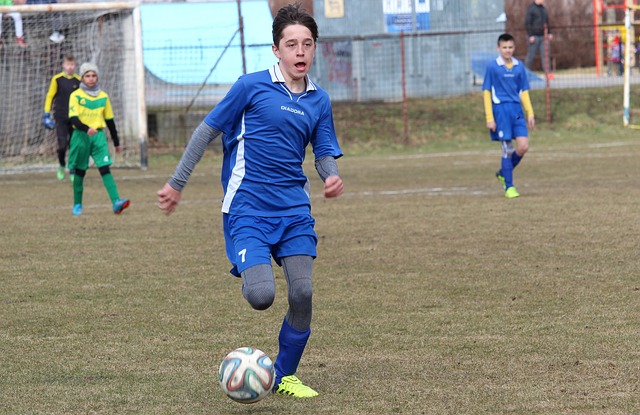 区左