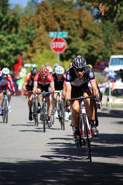 供了新的选 供了新的选