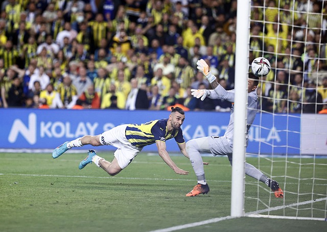 奇迹温床 奇迹温床