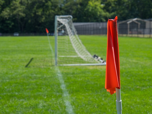 上的一匹 上的一匹