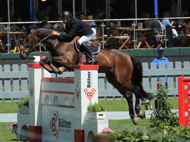 后天努力的 后天努力的