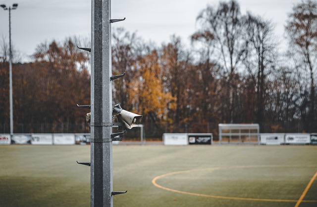 在当前全球 在当前全球